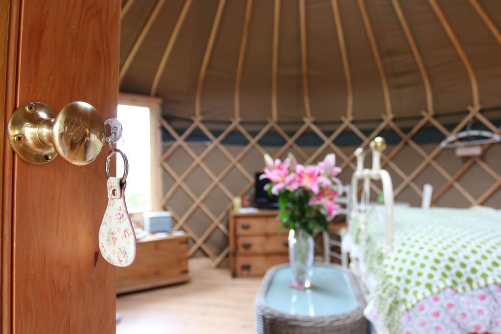 Sunbank Accommodation Llangollen Luaran gambar